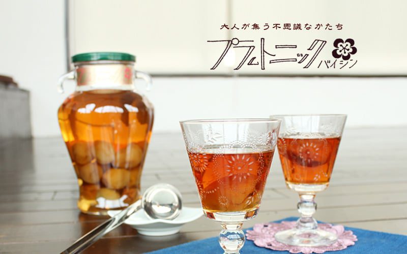 Kotsuzumi Plumtonic Baishin