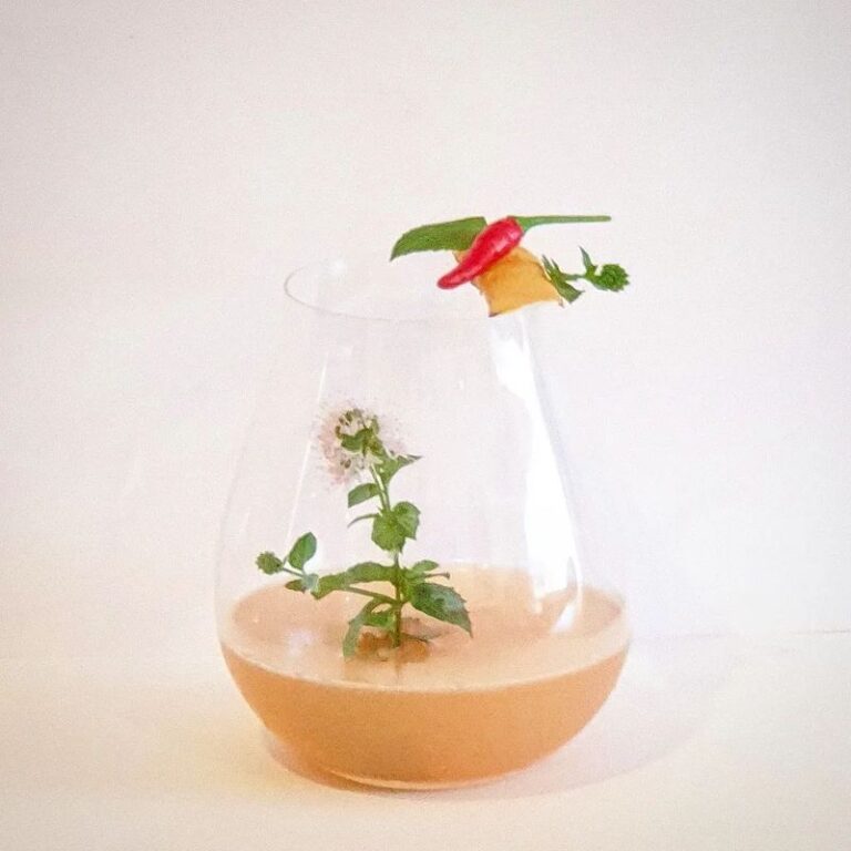 THE JAPANESE BITTERS SHISO 200 ML Umeshuthai 梅酒タイ ร้านขายเหล้าบ๊วย