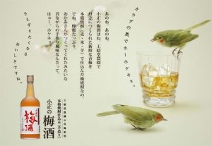 Komasa no Umeshu