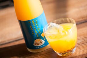 SHINOZAKI MANGO UMESHU