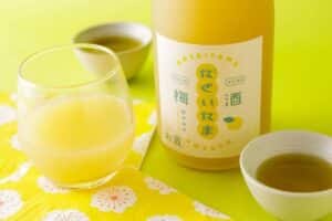 DASAITAMA UMESHU KATSURAGI YUZU