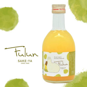 FULUN GIFT SET