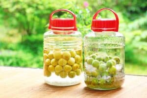 JAPANUMESHU 02 - Umeshuthai 梅酒タイ ร้านขายเหล้าบ๊วย และเหล้าผลไม้